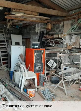 Débarras grenier et cave - John Solution 31 - photo 6