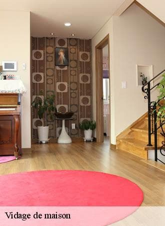 Vidage de maison - John Solution 31 - photo 3