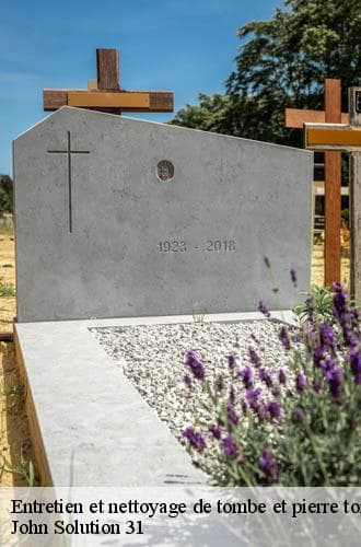 Entretien de tombe - John Solution 31 - photo 10