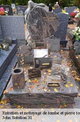 Entretien de tombe - John Solution 31 - photo 4