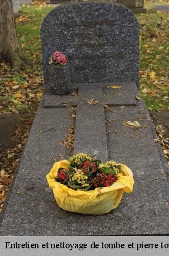 Entretien de tombe - John Solution 31 - photo 6