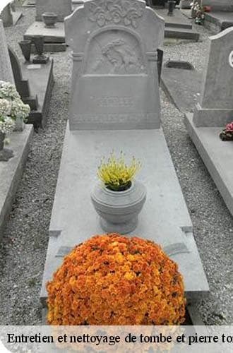 Entretien de tombe - John Solution 31 - photo 9